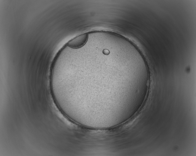 X0000116610902200912312115