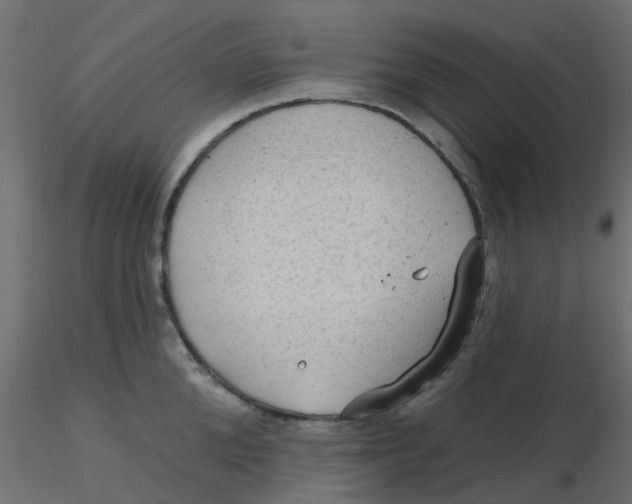 X0000116610904200912312115