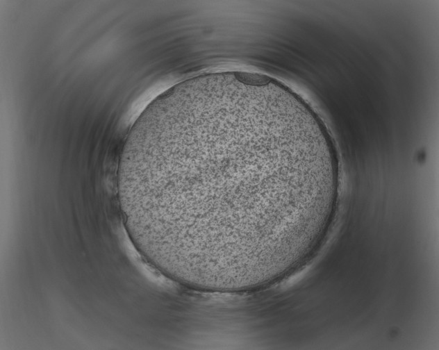 X0000116610905200912312115