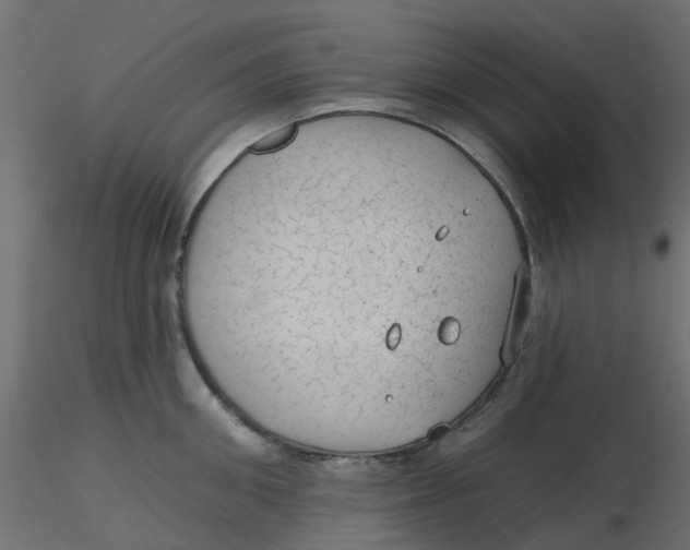 X0000116610906200912312115