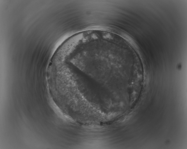 X0000116610907200912312115