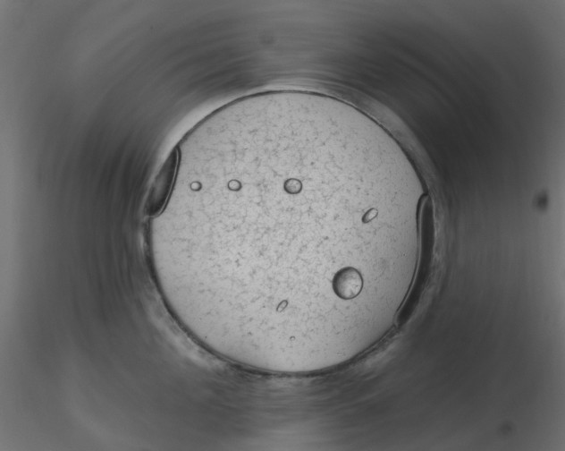 X0000116610908200912312115