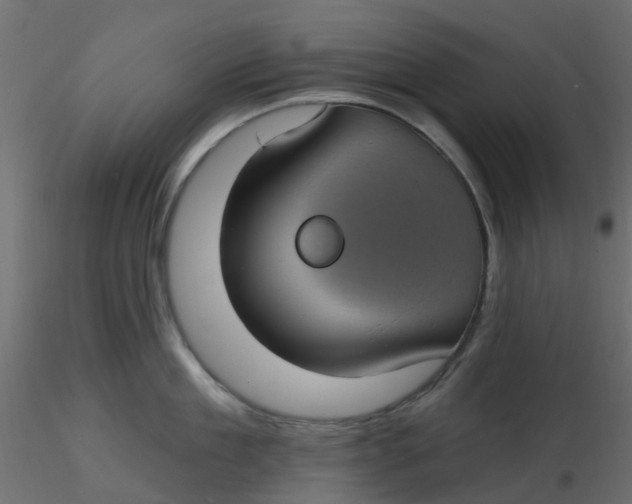 X0000116610909200912312115