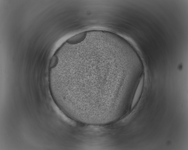 X0000116610910200912312115