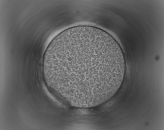 X0000116610911200912312115