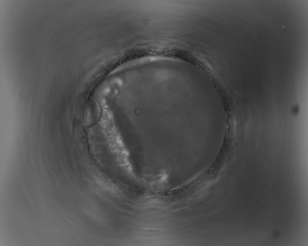 X0000116610913200912312114