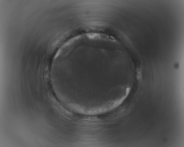 X0000116610915200912312114