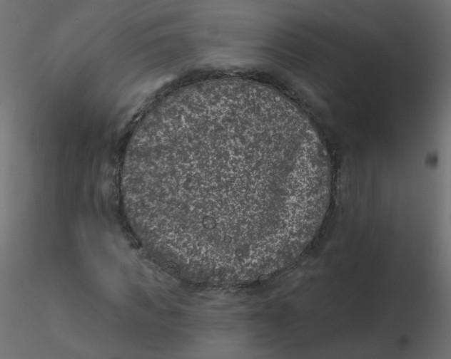 X0000116610917200912312114