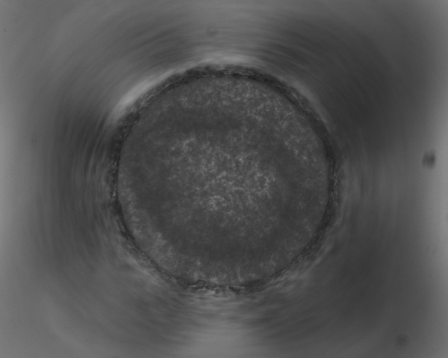 X0000116610919200912312115