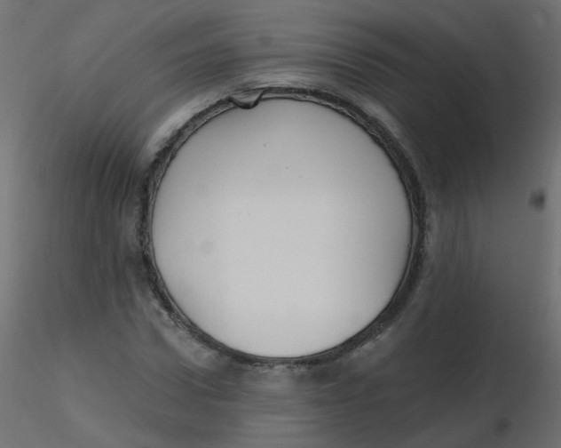 X0000116610922200912312115