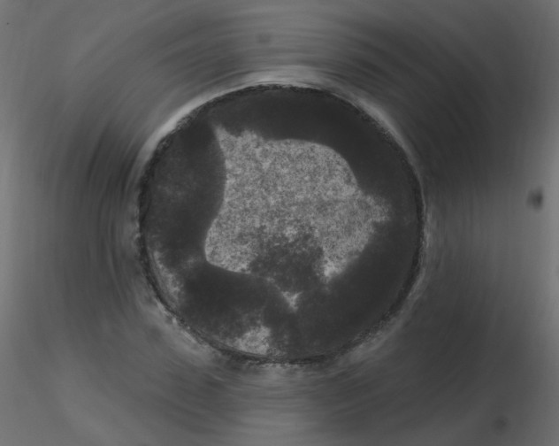 X0000116610923200912312115