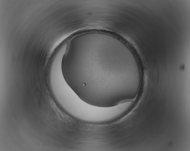 X0000116610925200912312115