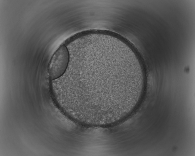 X0000116610926200912312115