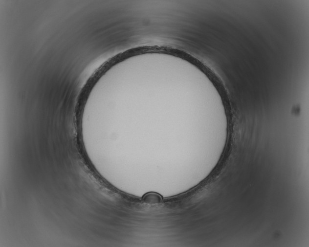 X0000116610927200912312115