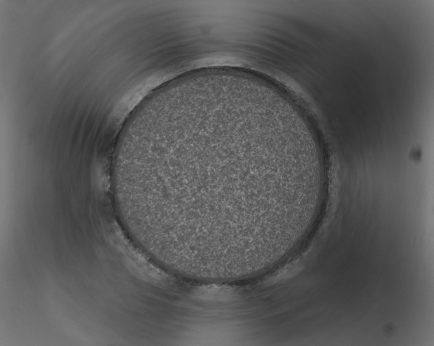 X0000116610929200912312115