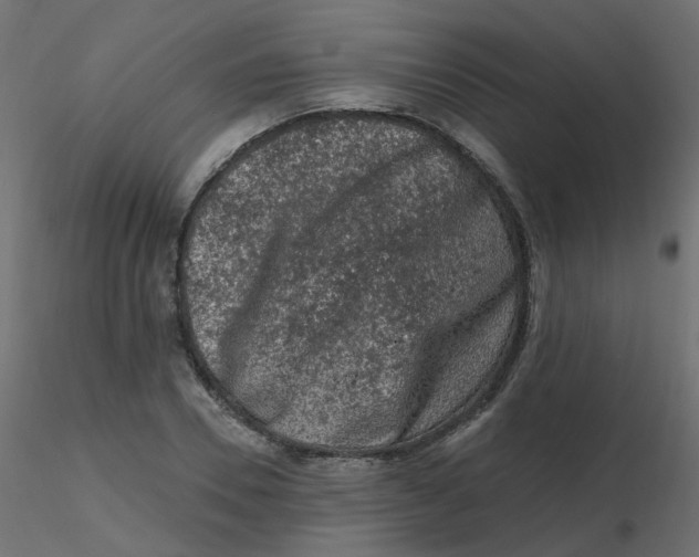 X0000116610930200912312115