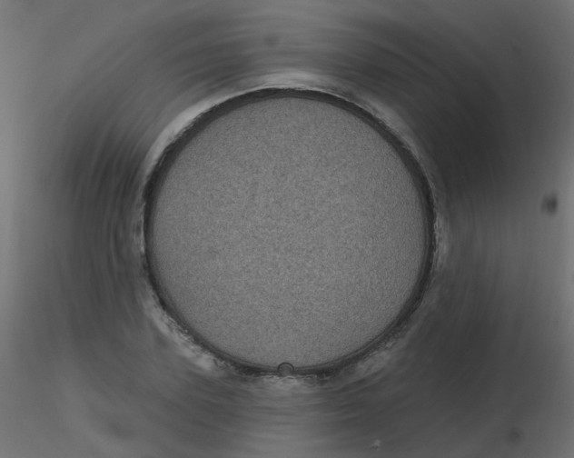 X0000116610931200912312115