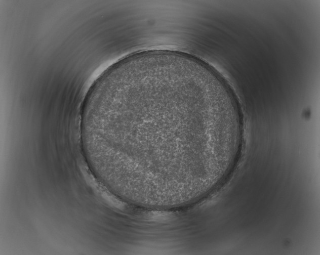 X0000116610933200912312115