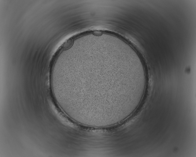 X0000116610934200912312115