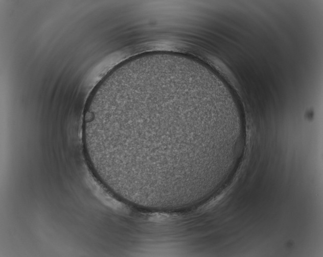 X0000116610938200912312115