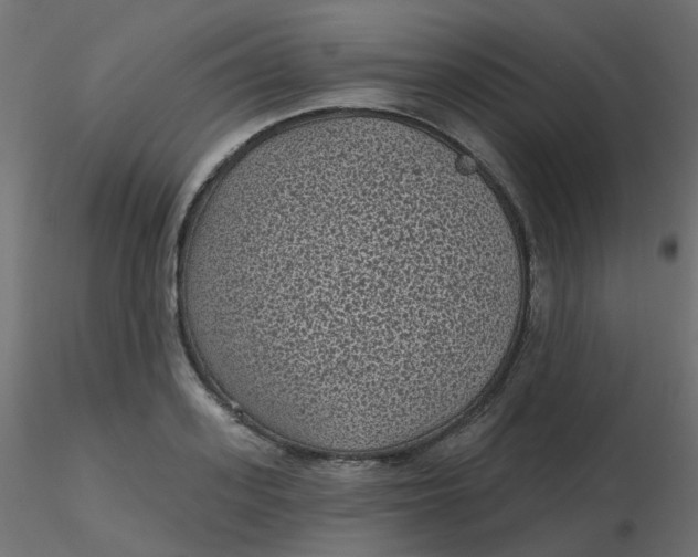 X0000116610939200912312115