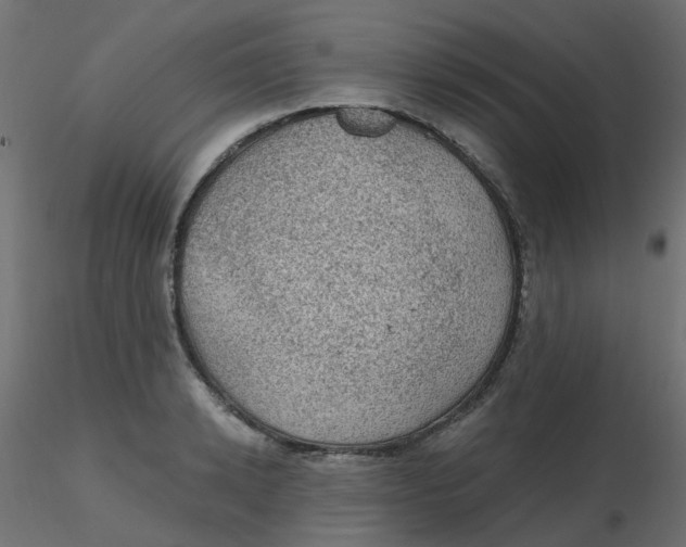 X0000116610942200912312115