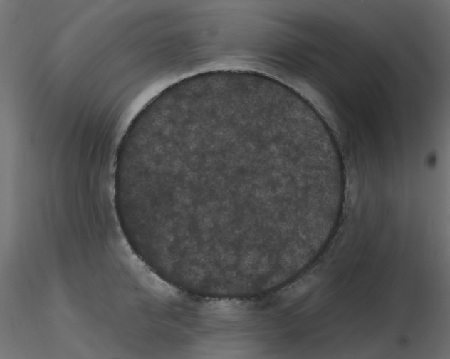 X0000116610950200912312115