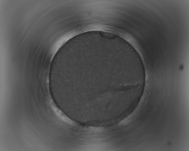 X0000116610954200912312115