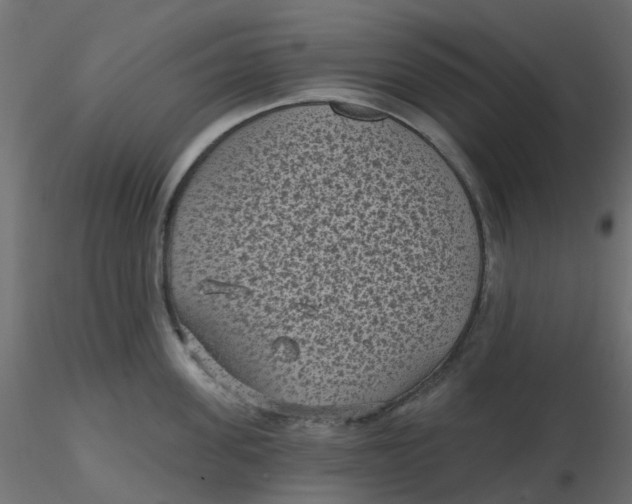 X0000116610955200912312115