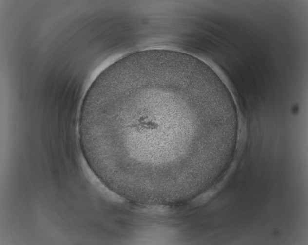 X0000116610957200912312115