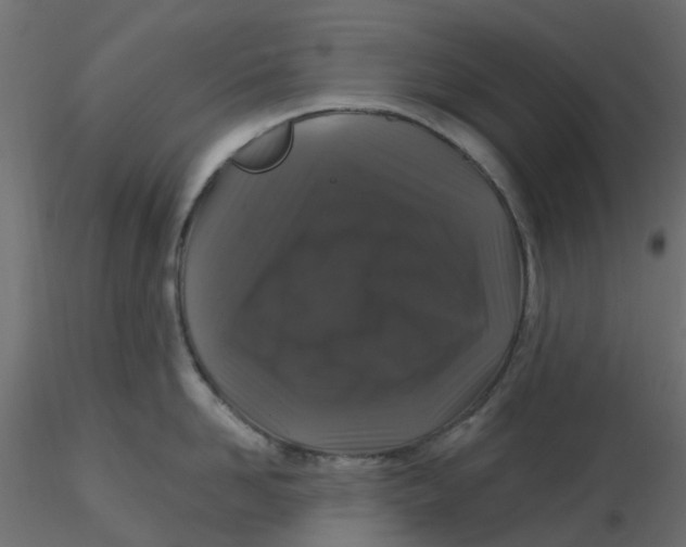 X0000116610958200912312115