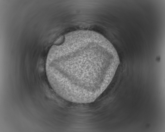 X0000116610962200912312114