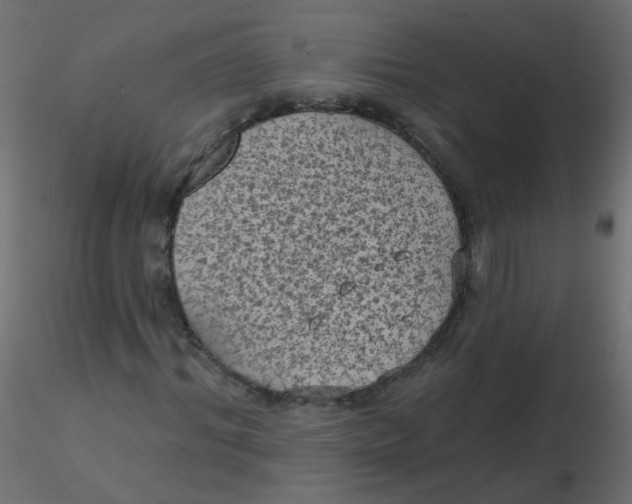 X0000116610964200912312114