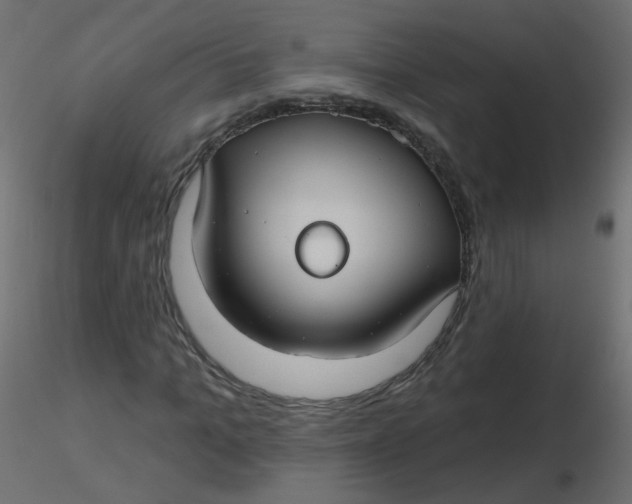 X0000116610965200912312114