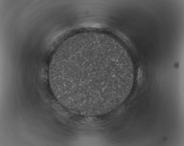 X0000116610966200912312114