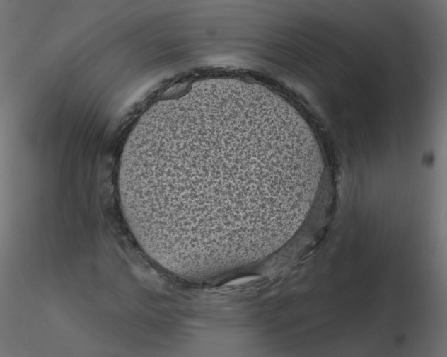 X0000116610968200912312114