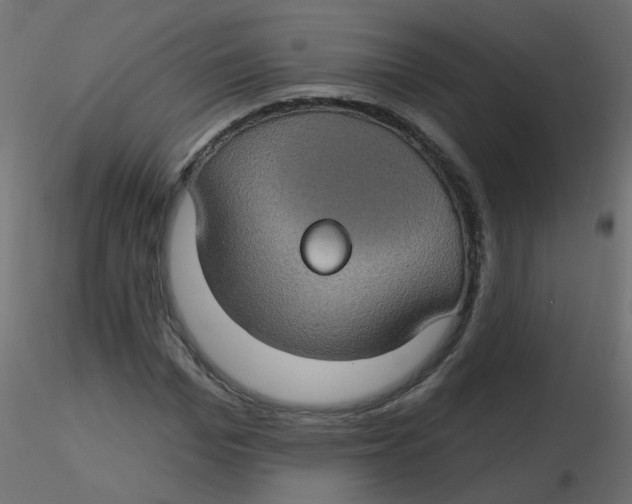 X0000116610969200912312114