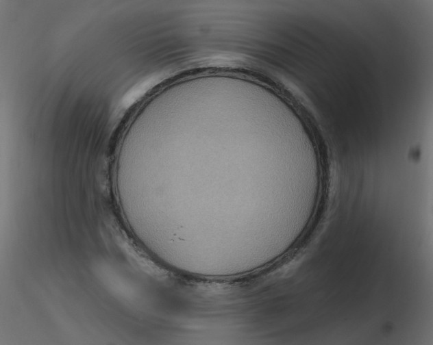 X0000116610970200912312114