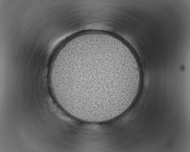 X0000116610971200912312114