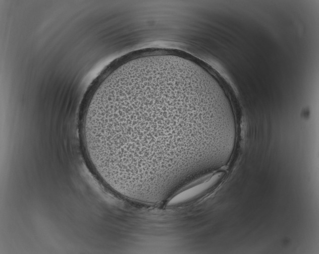 X0000116610972200912312114