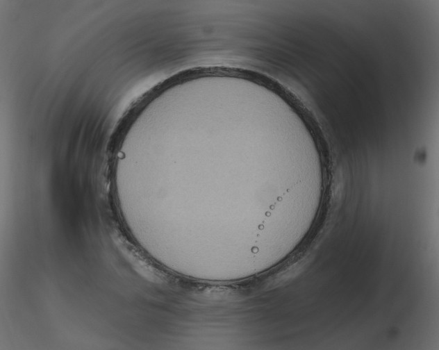 X0000116610974200912312114