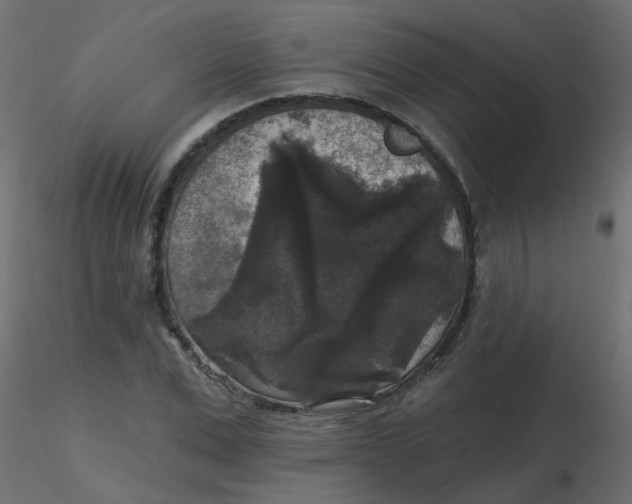 X0000116610975200912312114