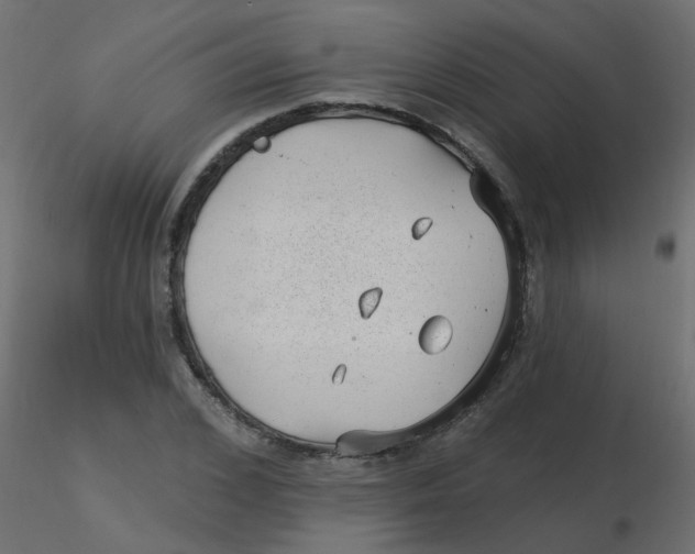 X0000116610976200912312114