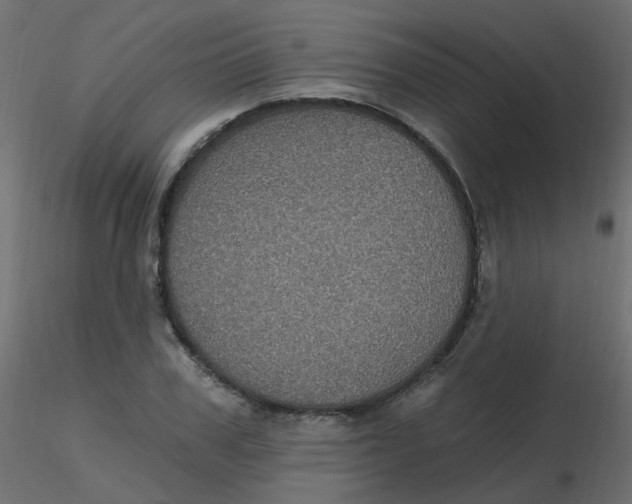 X0000116610979200912312114