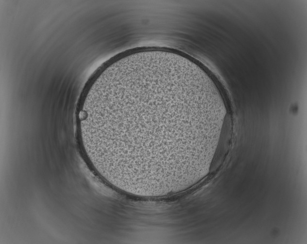 X0000116610980200912312114