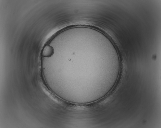 X0000116610982200912312114