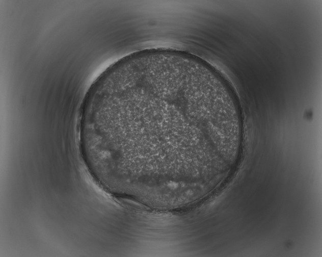 X0000116610983200912312114