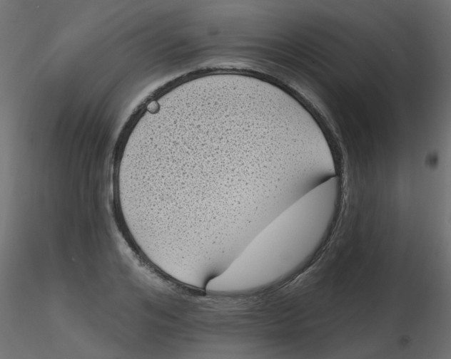 X0000116610984200912312114