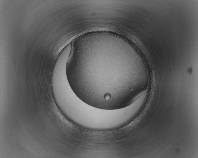 X0000116610985200912312114