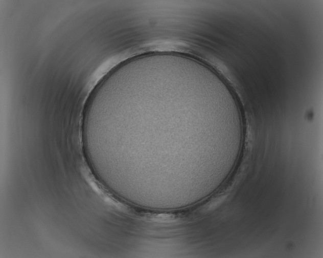 X0000116610986200912312114